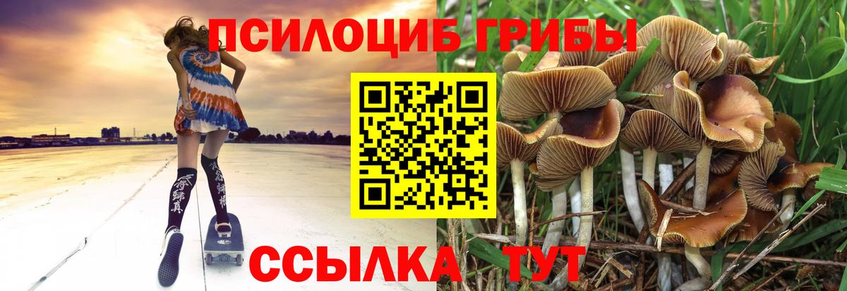 Псилоцибиновые грибы Magic Shrooms Артём
