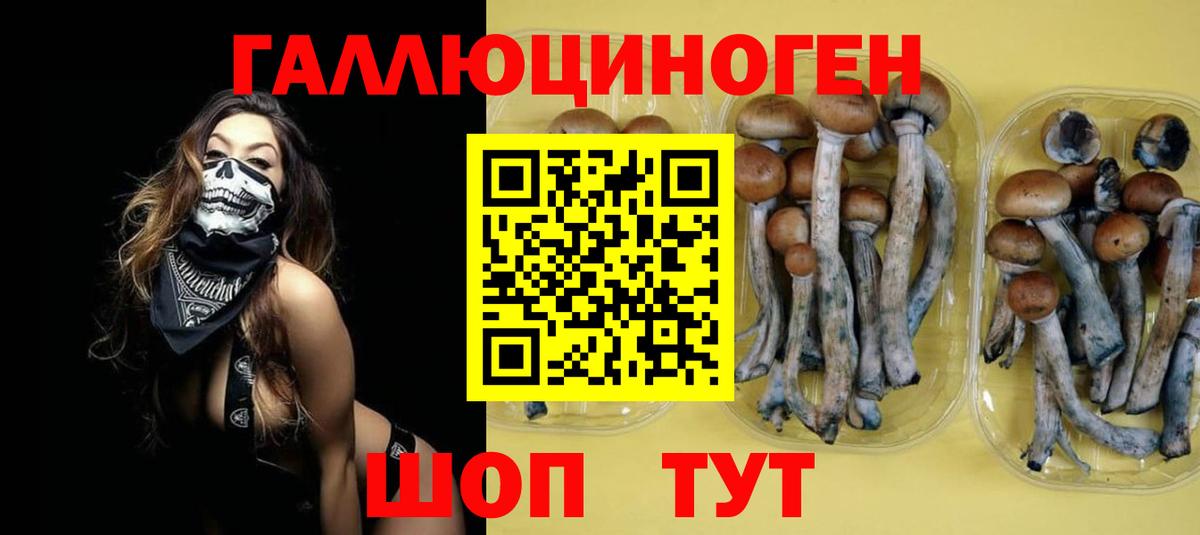 Галлюциногенные грибы ЛСД  Псилоцибиновые грибы ЛСД  Артём  Вход с VPN 